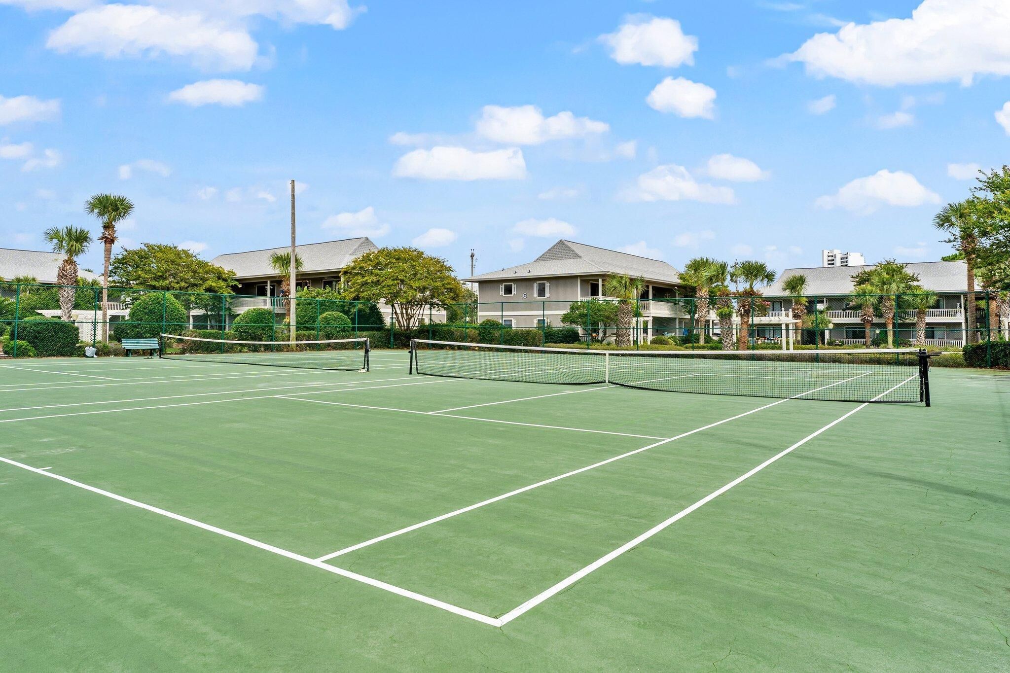 Un court de tennis avec un filet, entouré d’une clôture et de palmiers.