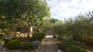 Un sendero de piedra que atraviesa un jardín con arbustos y árboles diversos.