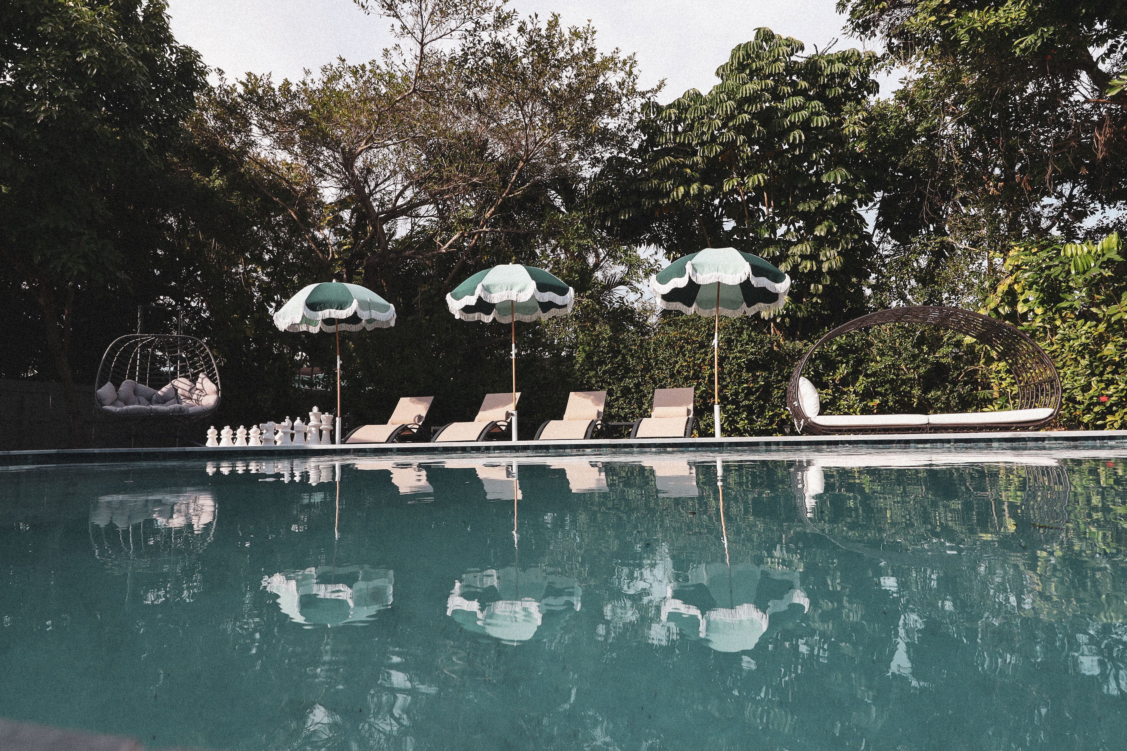 Una piscina con sillones de descanso y sombrillas, rodeada de árboles.
