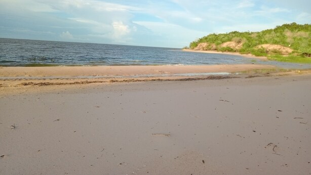 A beach with a sandy shore and a grassy hill in the background.