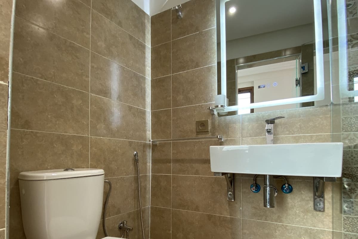Deluxe Double Room | Bathroom | Shower, rainfall showerhead, free toiletries, hair dryer