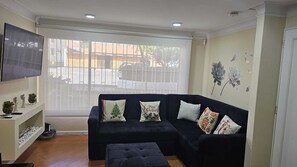 Smart-tv och eldstad