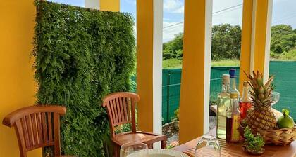 Jeune Tournesol (Bungalow neuf)