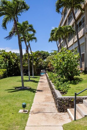 A pathway flanked by palm trees leading to a building with a stone wall and a pool in the background.