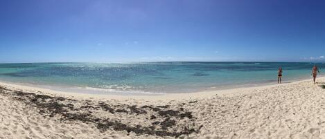 ビーチの近く、ビーチタオル