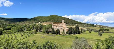 A historic building with a tower, surrounded by lush green fields and a mountain in the background.