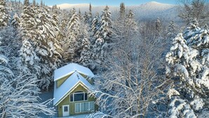 Una casa rodeada de árboles cubiertos de nieve.