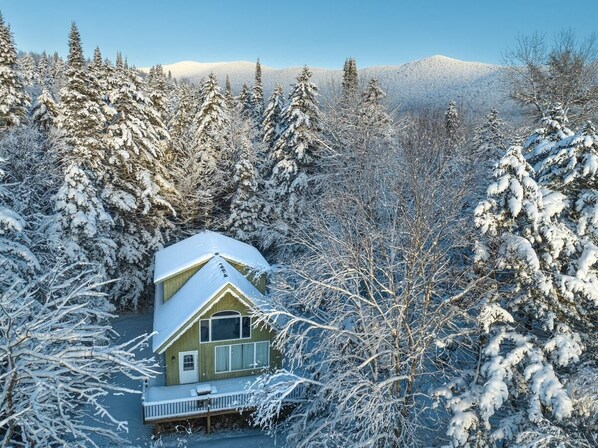 A house surrounded by snow-covered trees.