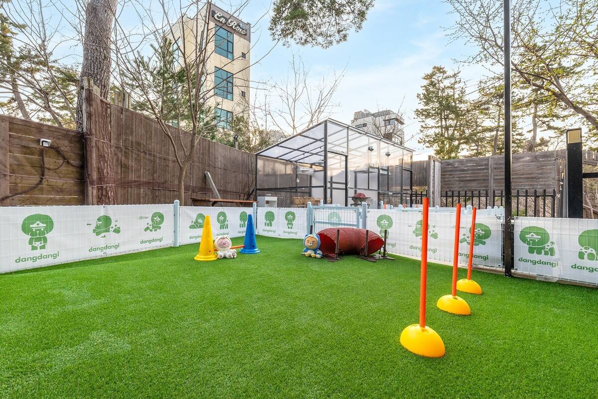 A fenced outdoor area with artificial grass, a wooden fence, and a building in the background.
