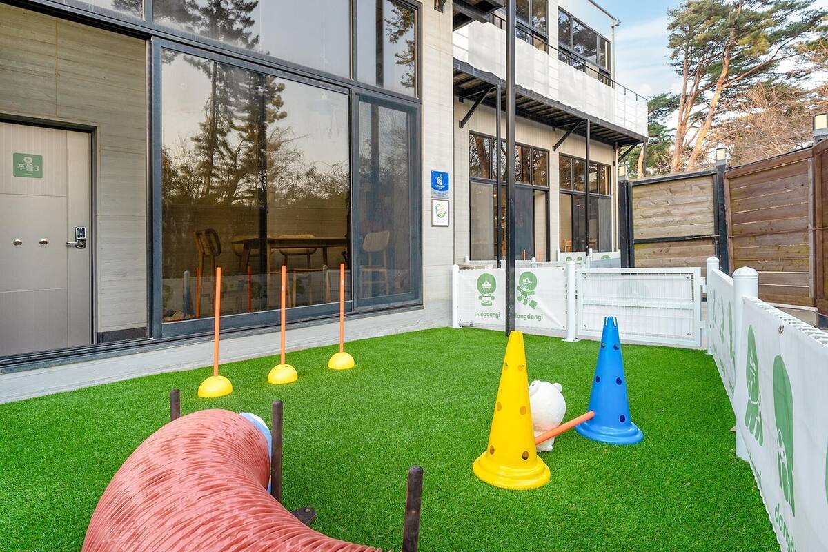 A building with large windows, a door, and a fenced area with artificial grass and cones.