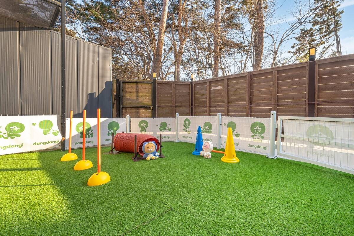An outdoor play area with artificial grass, a wooden fence, and various play equipment including cones and a tunnel.