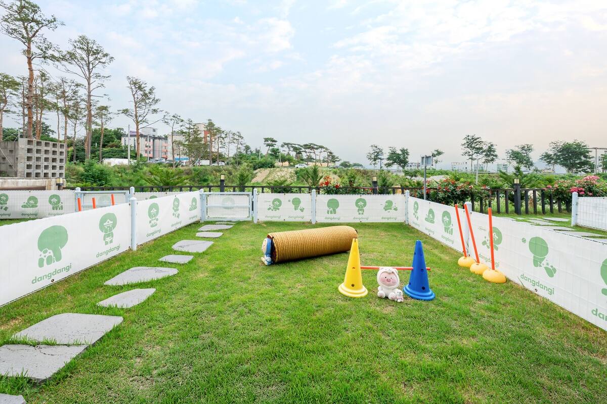 A grassy outdoor area with stepping stones, a cylindrical object, and traffic cones.