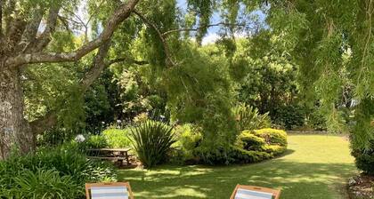 Where the river meets the sea. Swim in fresh water river and kayak on the sea