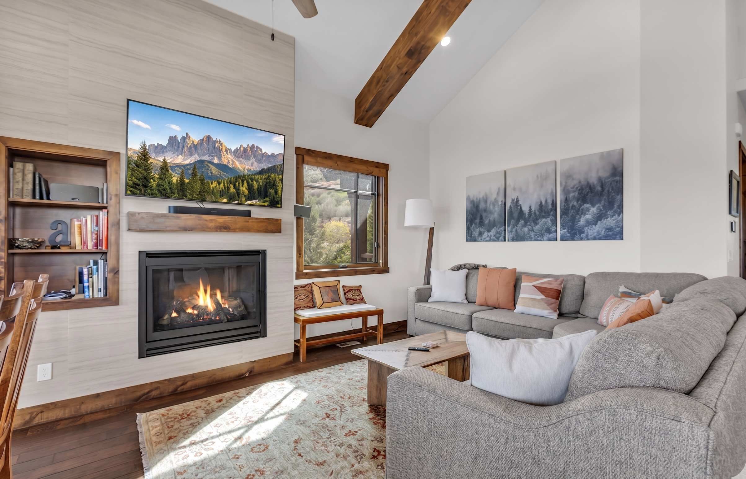 TV, fireplace, offices