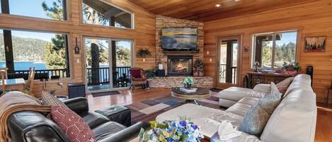 TV, fireplace, offices
