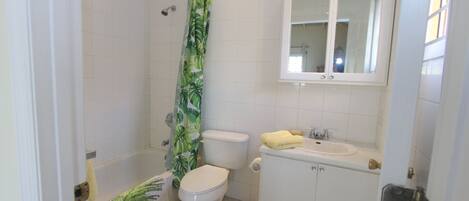 Ducha, secador de pelo, toallas