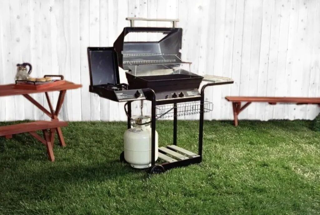 Una parrilla portátil con quemador lateral y tanque de propano, sobre un césped con mesas de picnic al fondo.