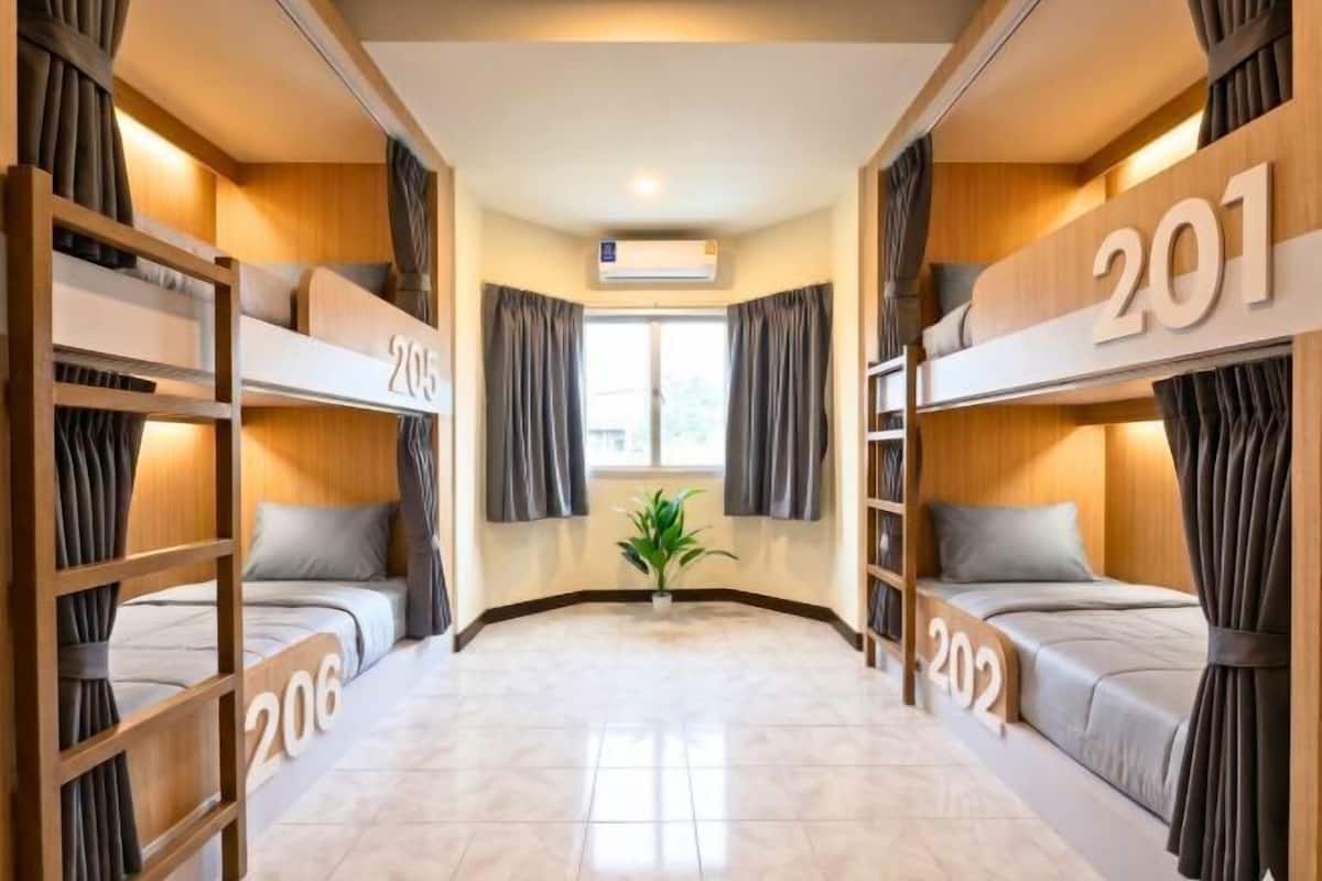 Une chambre d’hôtel avec des lits superposés, portant les numéros 201, 202, 205 et 206, une plante en pot et un appareil de climatisation.