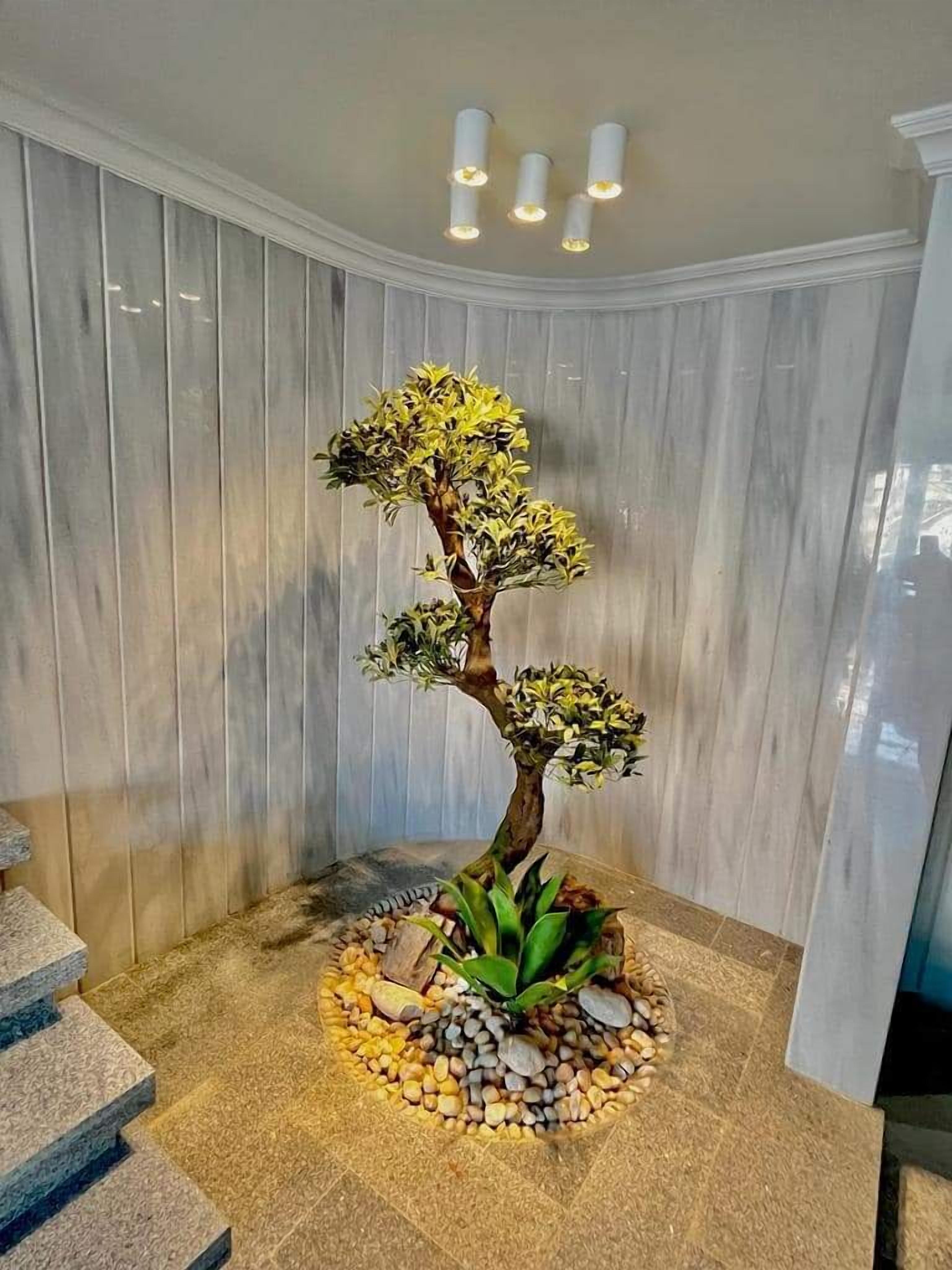 Foto - El Farida Hotel