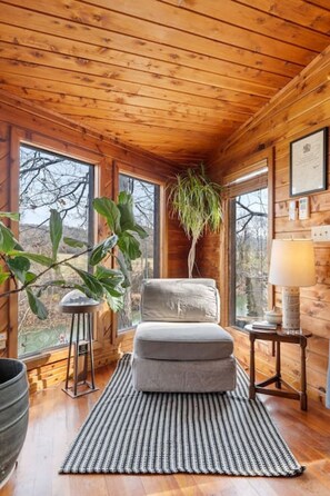 TV connectée, cheminée, chaîne hi-fi