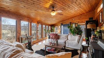 TV connectée, cheminée, chaßne hi-fi