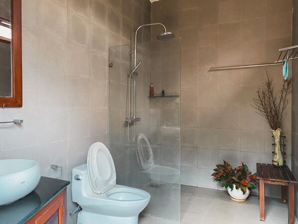 Shower, hair dryer, bidet, towels