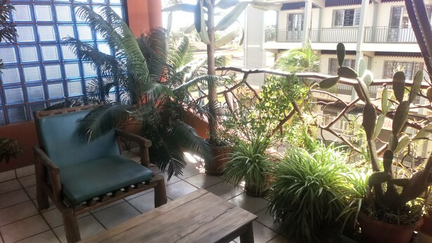 A balcony with a wooden bench and a chair, surrounded by potted plants and a view of a building with balconies. - CENTRAL HOTEL  (Antsiranana)
