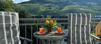 Holiday on the Moselle in our holiday apartment in Zell (Mosel)