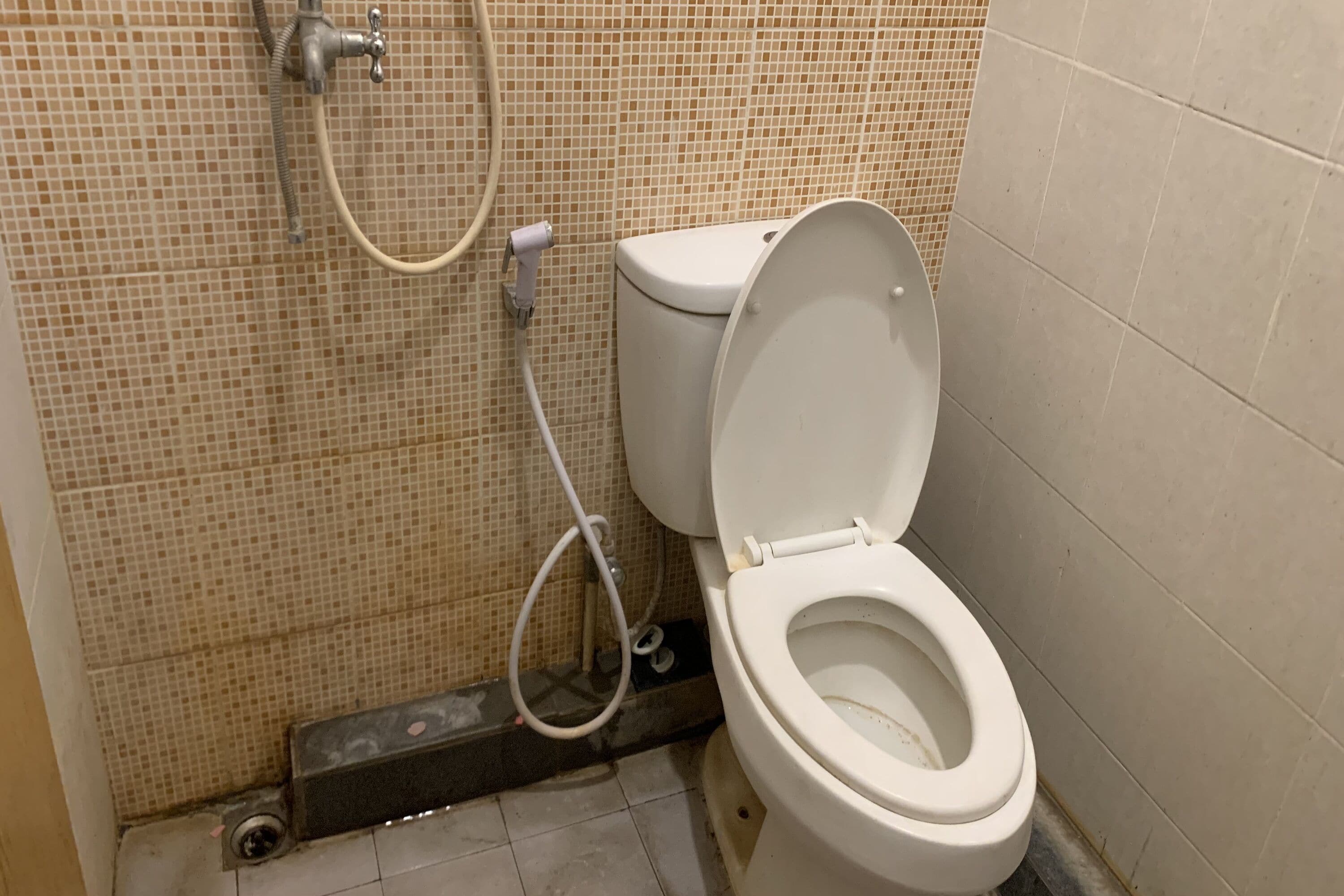 A bathroom with a toilet, a shower, and a tiled wall.