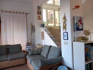 Smart TV, DVD player, books, video library