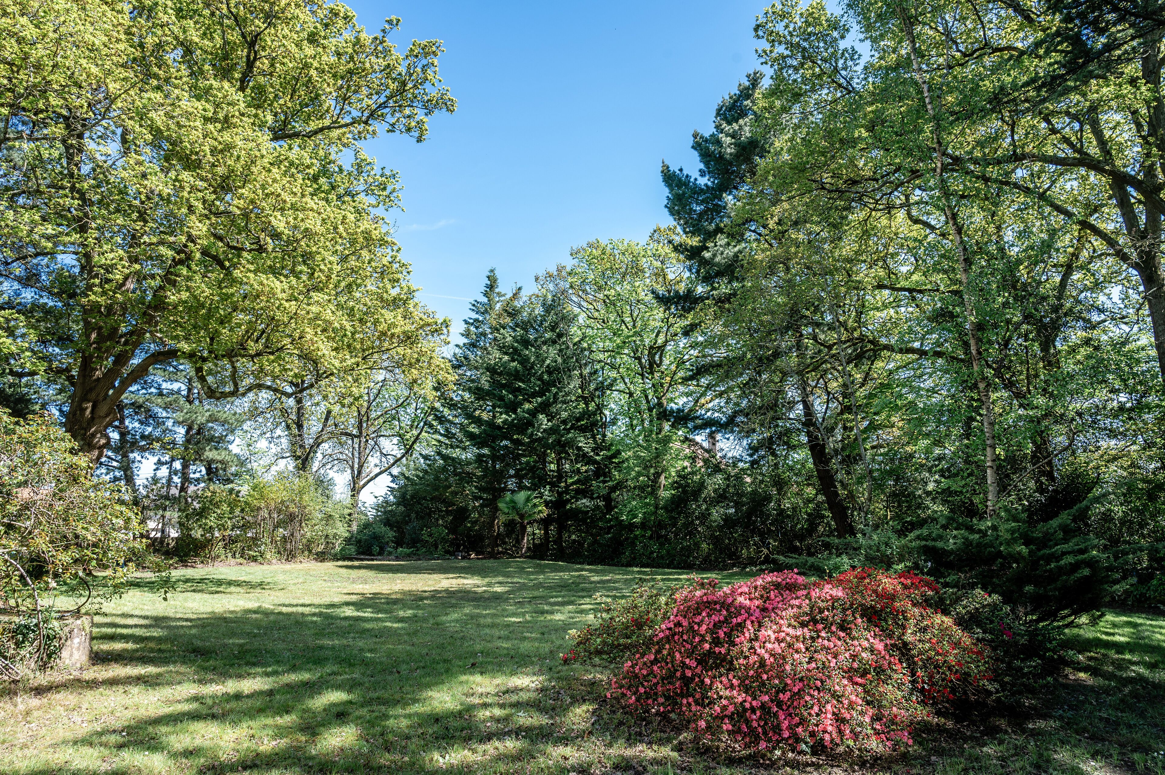 Un jardin luxuriant, avec une grande variété d’arbres et une pelouse bien entretenue.