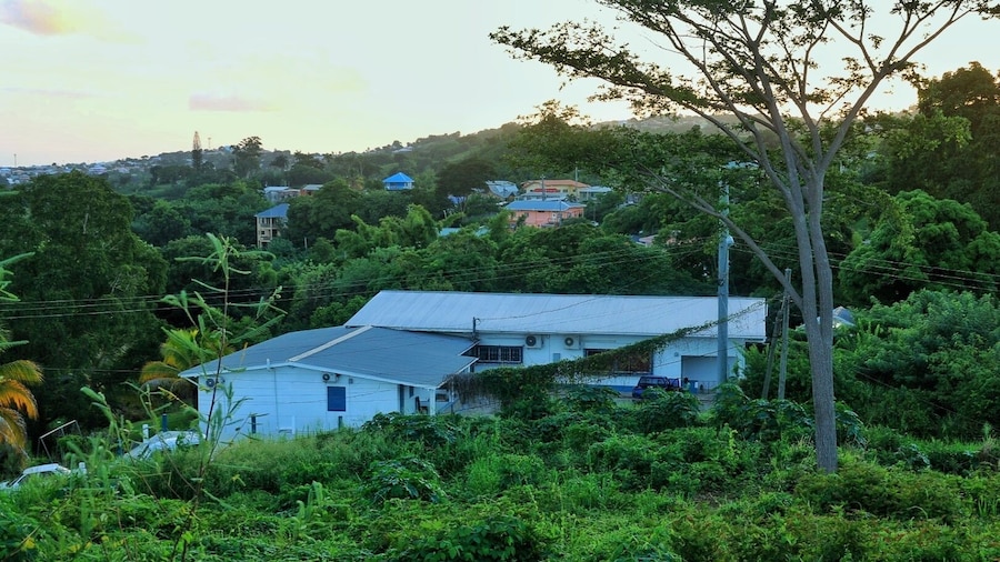 Cozy 1-bed Apt in Whim Estate-near Scarborough