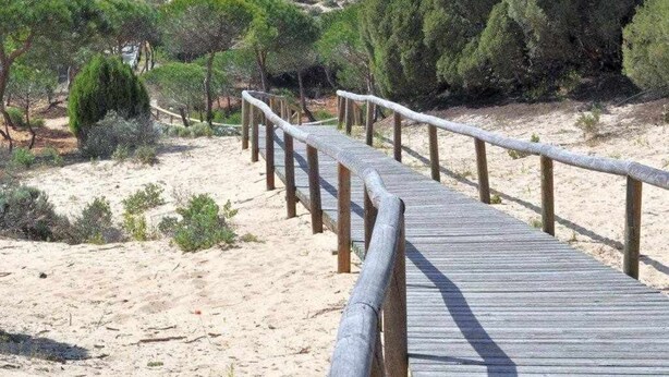 A wooden boardwalk leading to a beach with sandy terrain and sparse vegetation.