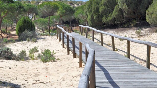 A wooden boardwalk leading to a beach with sand and sparse vegetation. - Chalet en la Misma Playa (Punta Umbria)