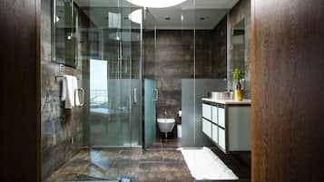 Hair dryer, towels, soap, toilet paper