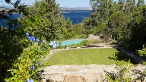 A landscaped garden with a pool, surrounded by trees and a view of the sea. - VILLA LILIUM (Punta Molara)