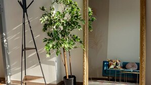 Une pièce avec un grand miroir, un lampadaire sur trépied et une plante en pot.