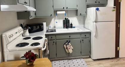 Old Aristocracy Hill 1BR Quiet Apartment Downtown!