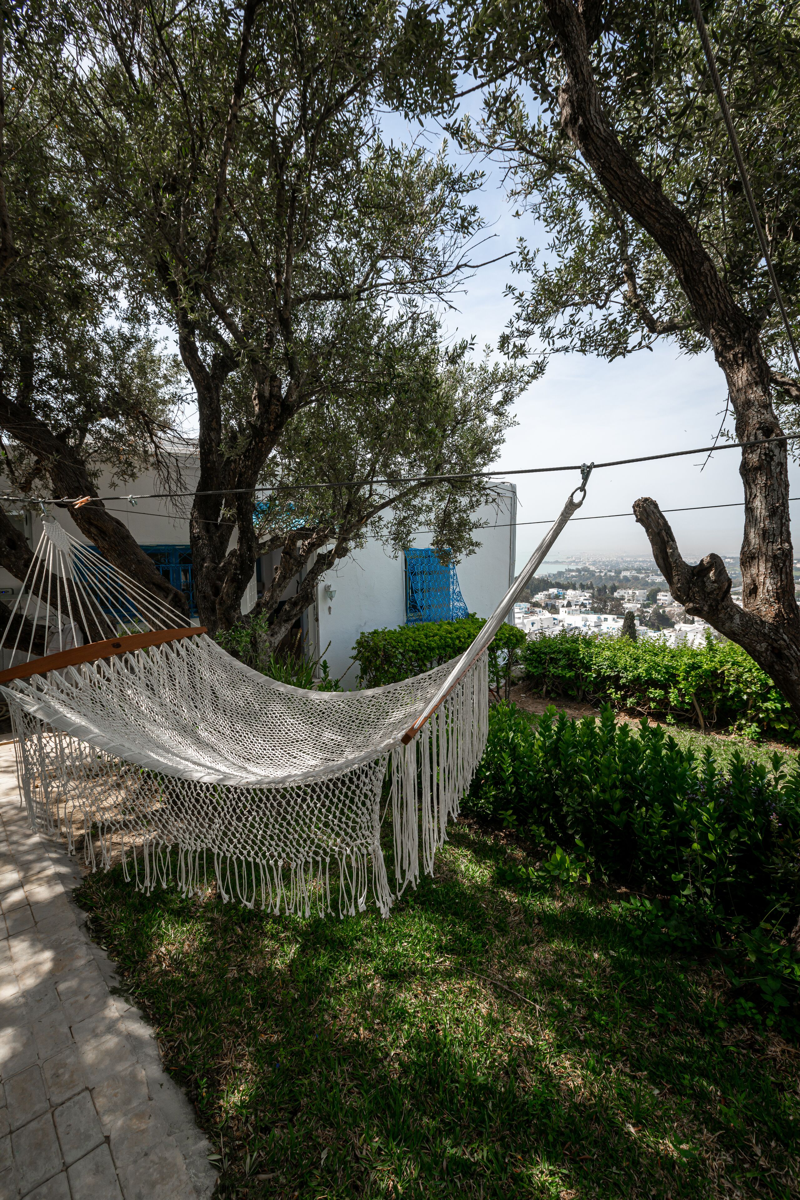 A hammock between trees in a garden with a view of a cityscape.