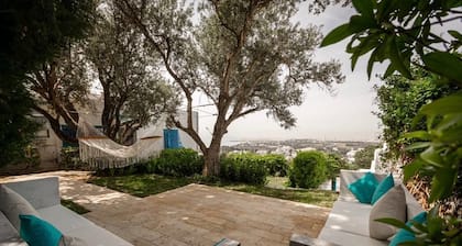 La Villa Des Oliviers