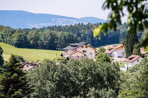Front of property - DAS PALMBERGER (Spiegelau)