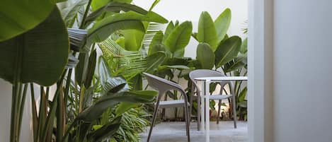 Área da propriedade