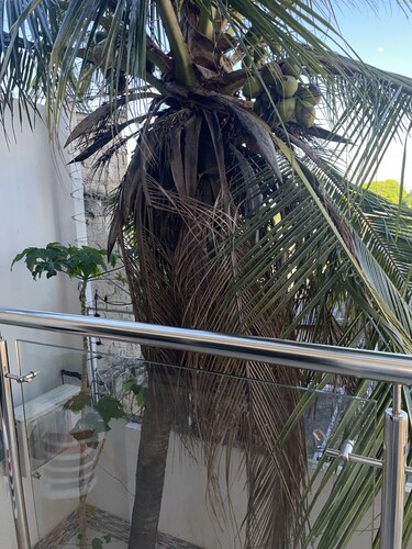 Apartamento en el Epicentro del Carnaval