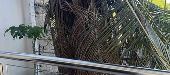 Apartamento en el Epicentro del Carnaval