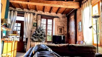 Una televisión, una chimenea, un reproductor de DVD, libros