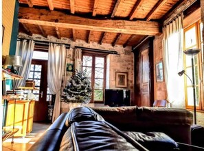 TV, fireplace, DVD player, books - Really nice house in southwest of France. (Bourran)