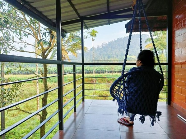 Property grounds - Nostalgia Homestay.... A Greener Corner of the Earth.
 (Vythiri)