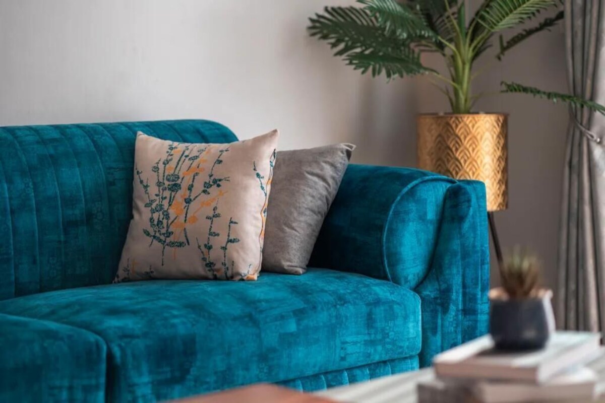 Image de profil de l’hôte