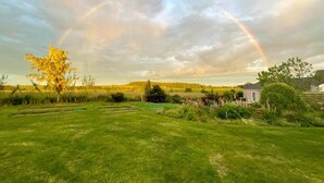 Ein grünes Feld mit einem Regenbogen, einem Baum und einem Haus im Hintergrund.