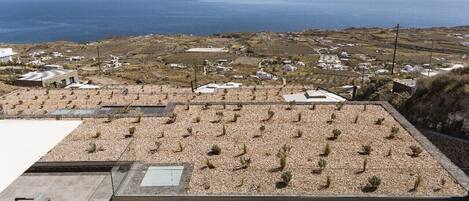 Une terrasse sur le toit offrant une vue sur la mer et un petit village en contrebas.